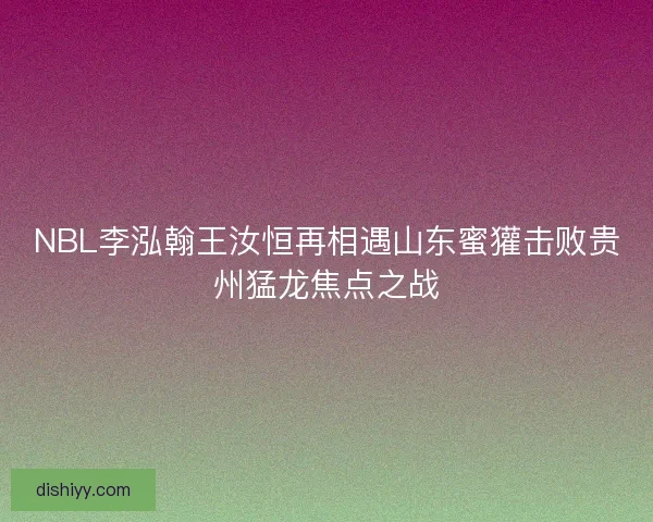 NBL李泓翰王汝恒再相遇山东蜜獾击败贵州猛龙焦点之战