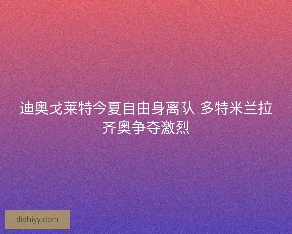 迪奥戈莱特今夏自由身离队 多特米兰拉齐奥争夺激烈